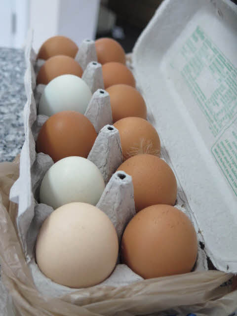 Carton of eggs