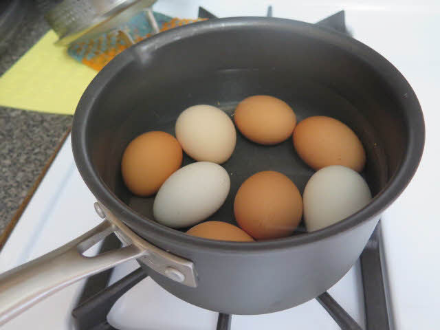 Eggs in pot of water