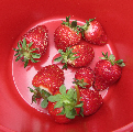 Collard Patch strawberries