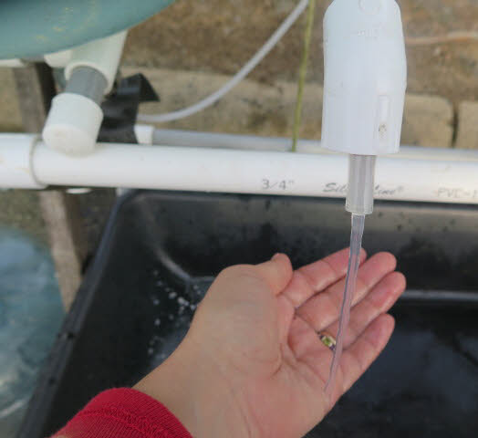 soapy water meets hand