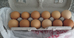 dozen of eggs in their carton