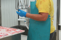 Employee splattered with chicken blood