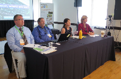 panel speakers