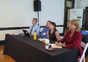 panel speakers